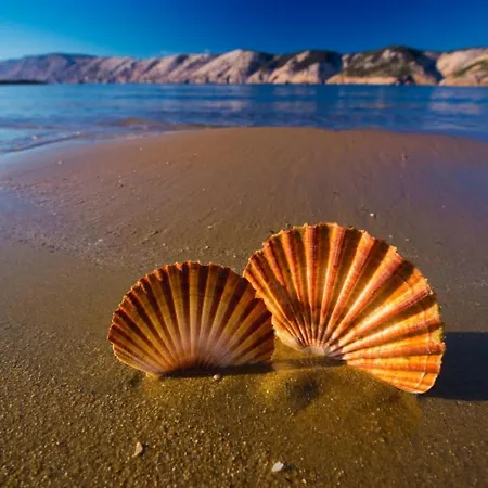 In With Terrace, Air Conditioning, Wifi 3719-6 * Lopar